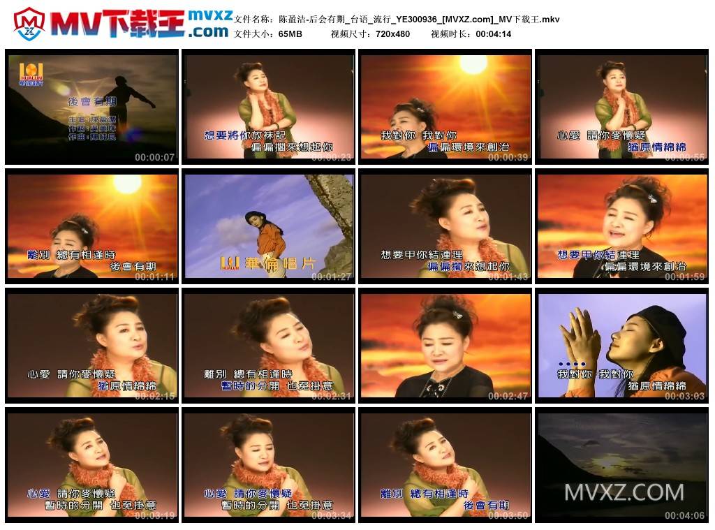 陈盈洁-后会有期_台语_流行_YE300936